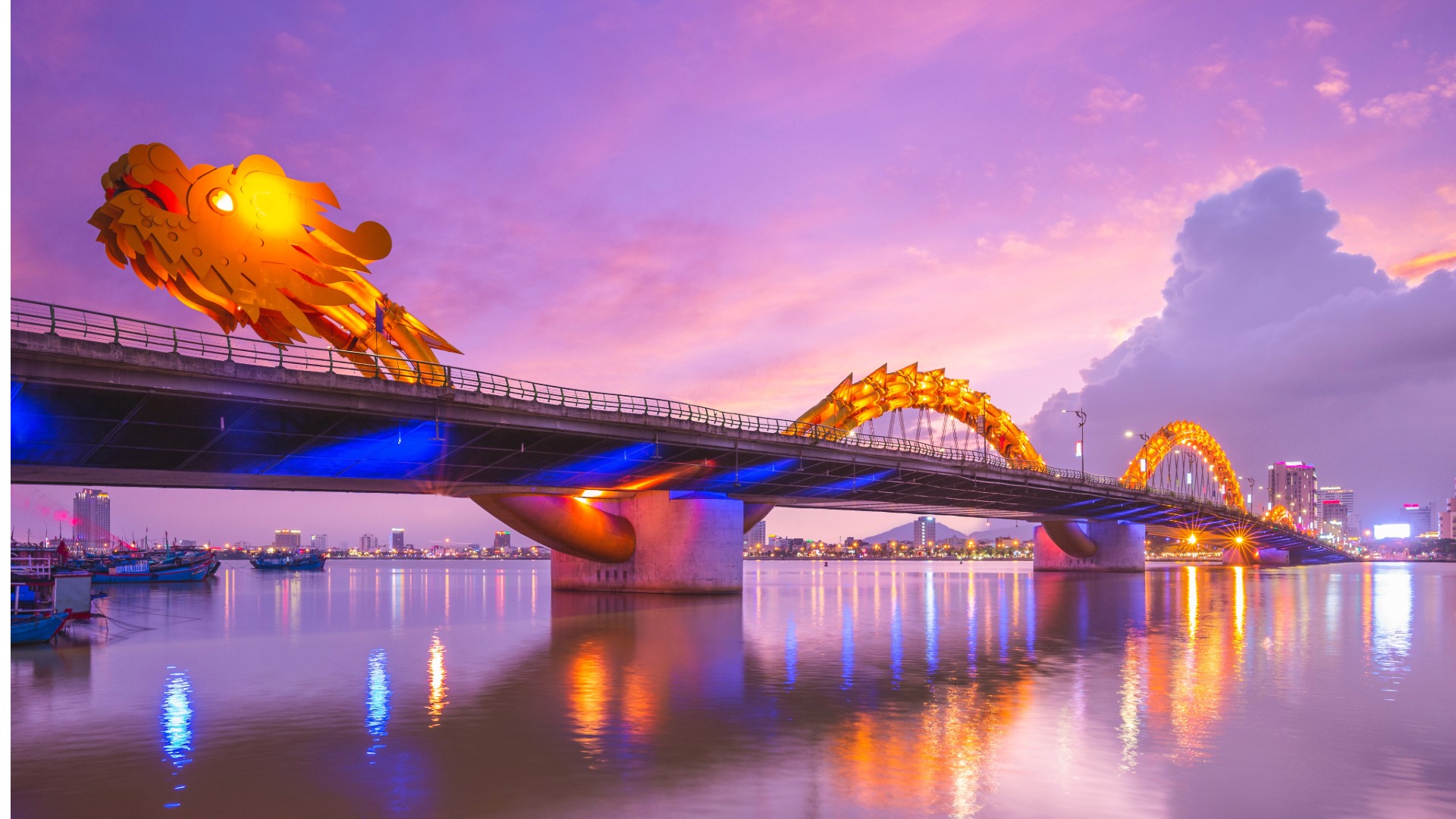 THE VIETNAM ADVENTURE